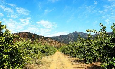 Agrícola en Venta en Camino a Embalse Lliu Lliu - LIMACHE.