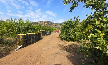 Agrícola en Venta en Camino a Embalse Lliu Lliu - LIMACHE.