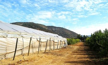 Agrícola en Venta en Camino a Embalse Lliu Lliu - LIMACHE.