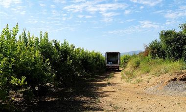 Agrícola en Venta en Camino a Embalse Lliu Lliu - LIMACHE.
