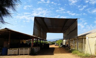 Agrícola en Venta en Camino a Embalse Lliu Lliu - LIMACHE.