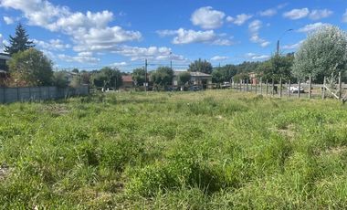 Sitio en Arriendo en Curacautín