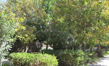 Sitio en Venta en Chicureo Centro