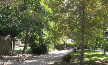 Sitio en Venta en Chicureo Centro