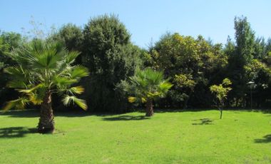 Sitio en Venta en Chicureo Centro