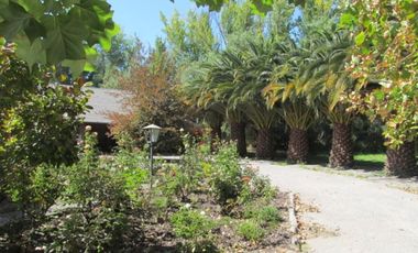 Sitio en Venta en Chicureo Centro