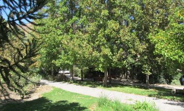 Sitio en Venta en Chicureo Centro