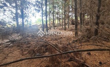 Sitio en Venta en La Palmilla, Chepica