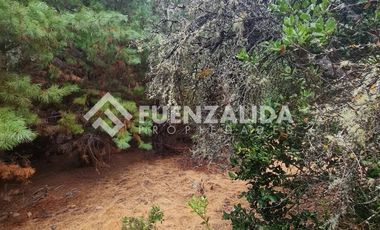 Sitio en Venta en La Palmilla, Chepica