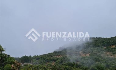 Sitio en Venta en La Palmilla, Chepica