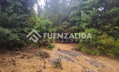 Sitio en Venta en La Palmilla, Chepica