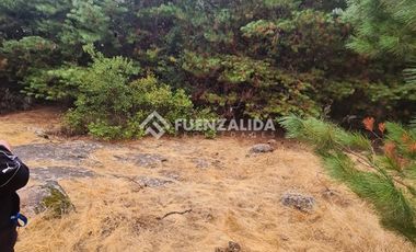 Sitio en Venta en La Palmilla, Chepica
