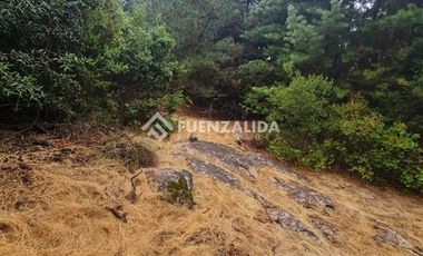 Sitio en Venta en La Palmilla, Chepica