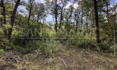 Sitio en Venta en Las Trancas, Chillán