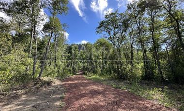 Sitio en Venta en Las Trancas, Chillán