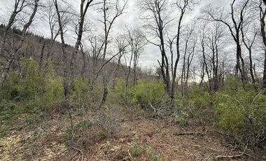 Sitio en Venta en Las Trancas, Chillán