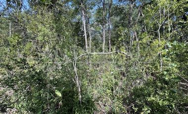 Sitio en Venta en Las Trancas, Chillán