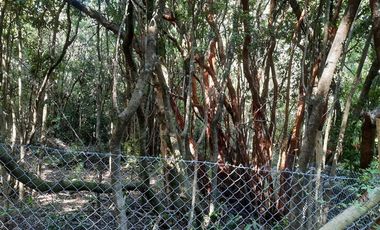 Parcela en Venta en Cobquecura