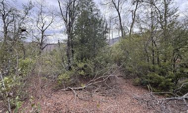 Terreno Construccion en Venta en Las Trancas, Chillán
