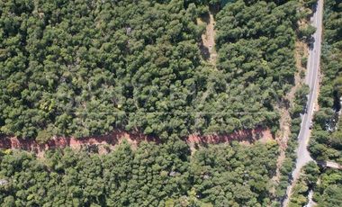 Terreno Construccion en Venta en Las Trancas, Chillán