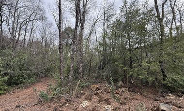 Terreno Construccion en Venta en Las Trancas, Chillán