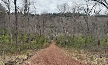 Terreno Construccion en Venta en Las Trancas, Chillán