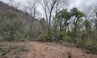 Terreno Construccion en Venta en Las Trancas, Chillán