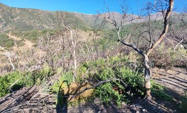 Sitio en Venta en Av. Camino al Volcán 4926