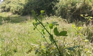 Agrícola en Venta en Llancahuito