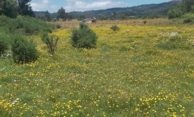 Agrícola en Venta en Llancahuito