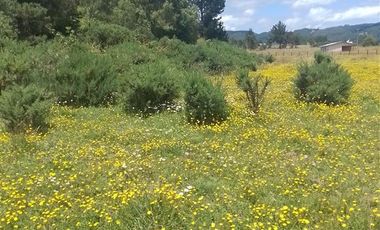 Agrícola en Venta en Llancahuito