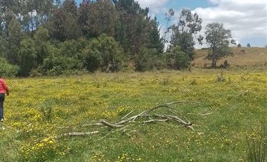 Agrícola en Venta en Llancahuito