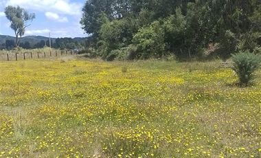 Agrícola en Venta en Llancahuito