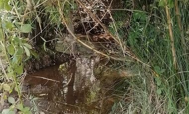 Agrícola en Venta en Llancahuito