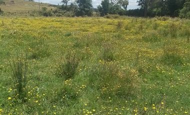 Agrícola en Venta en Llancahuito