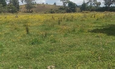 Agrícola en Venta en Llancahuito