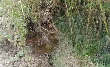 Agrícola en Venta en Llancahuito