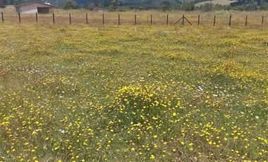 Agrícola en Venta en Llancahuito