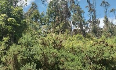 Agrícola en Venta en Llancahuito