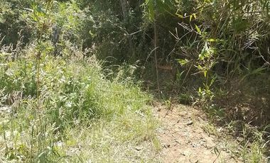 Agrícola en Venta en Llancahuito