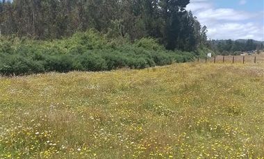 Agrícola en Venta en Llancahuito
