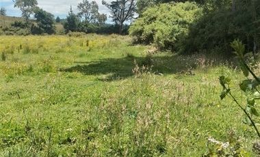Agrícola en Venta en Llancahuito