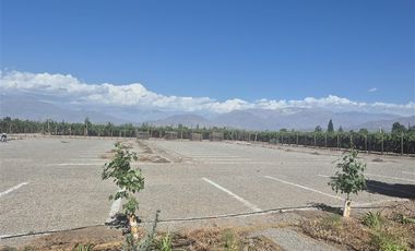 Sitio en Arriendo en carretera san martin