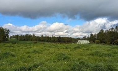 Parcela en Venta en Playa San Pedro