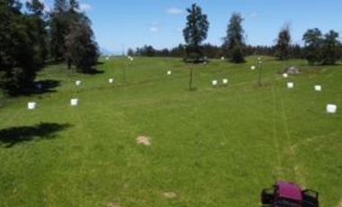 Parcela en Venta en Playa San Pedro