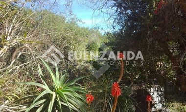 Casa en Arriendo en Dr Shwenn