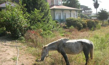 Parcela en Venta en Camino Costanera en Ventanas