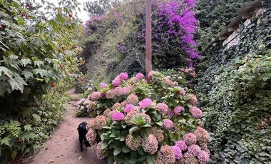 Parcela en Venta en Camino Costanera en Ventanas
