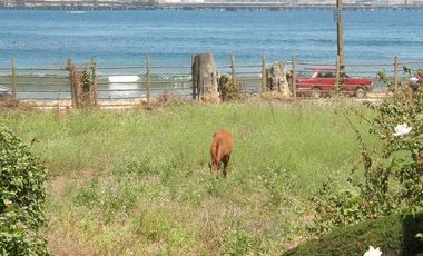Parcela en Venta en Camino Costanera en Ventanas