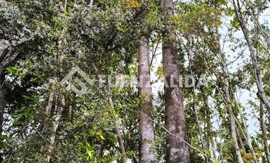 Casa en Venta en Sector rural Chaiguao, Quellón